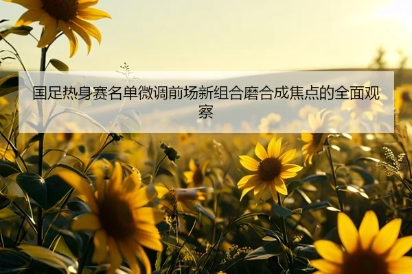 国足热身赛名单微调前场新组合磨合成焦点的全面观察